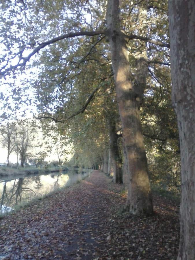 Gite 3 étoiles entre sources et rivière Besançon Vaire-le-Grand Esterno foto